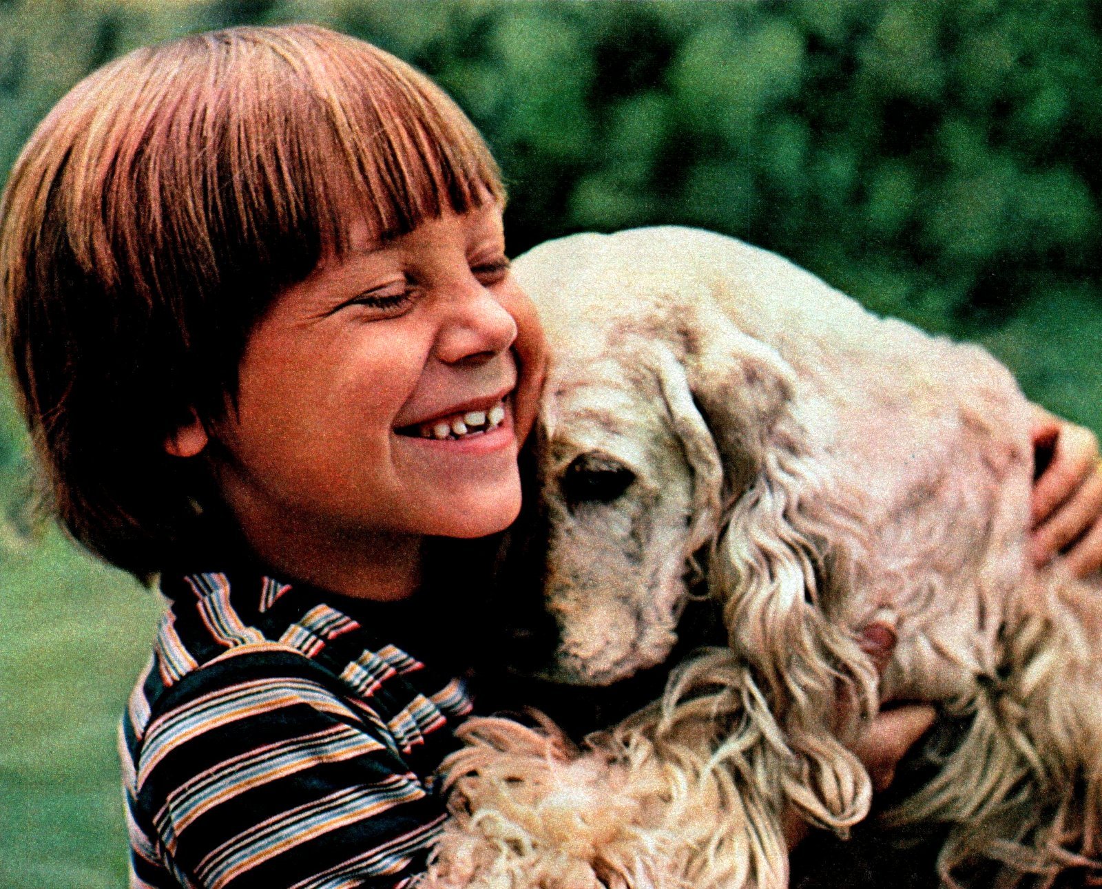 Cute boy and dog (1977) via ClickAmericana com