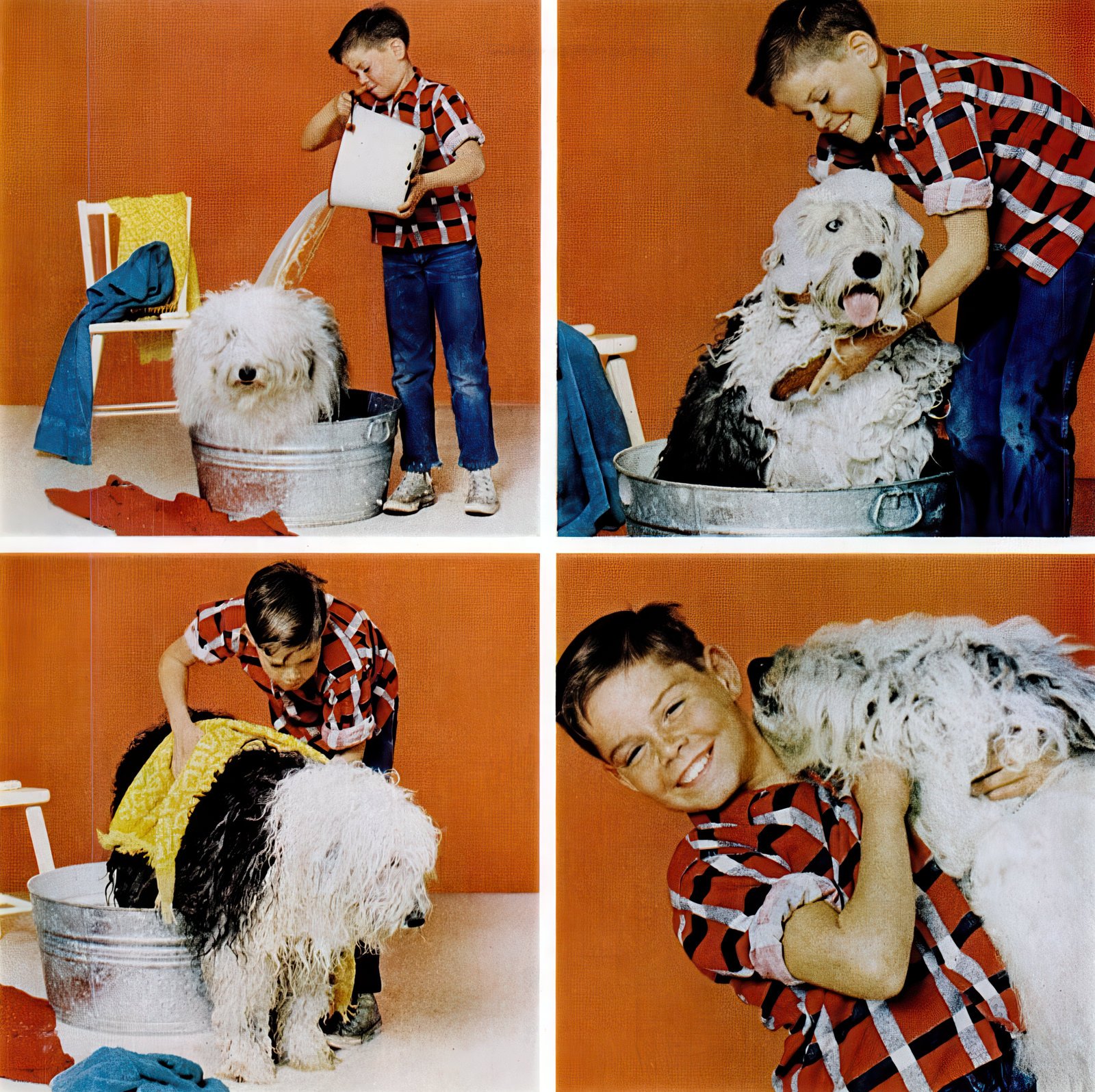 Cute boy washing his big shaggy dog (1965) Kodak at Click Americana