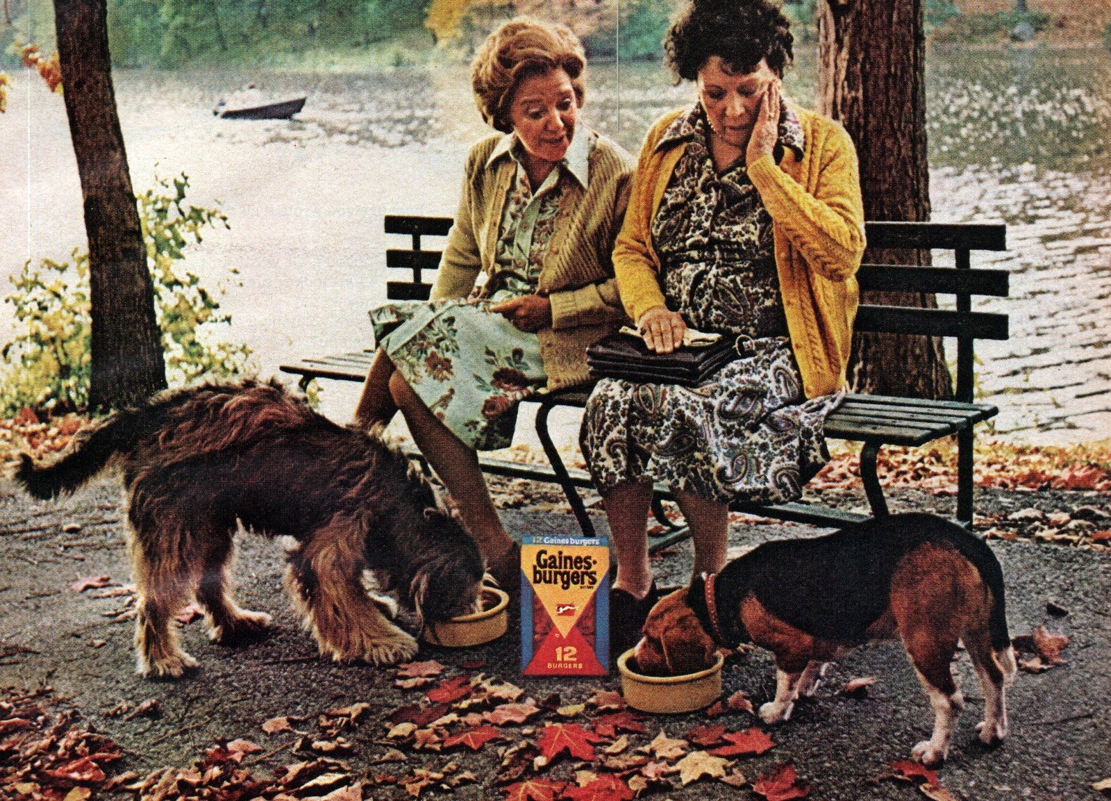 Dogs in 1976 with Gaines Burgers via ClickAmericana com