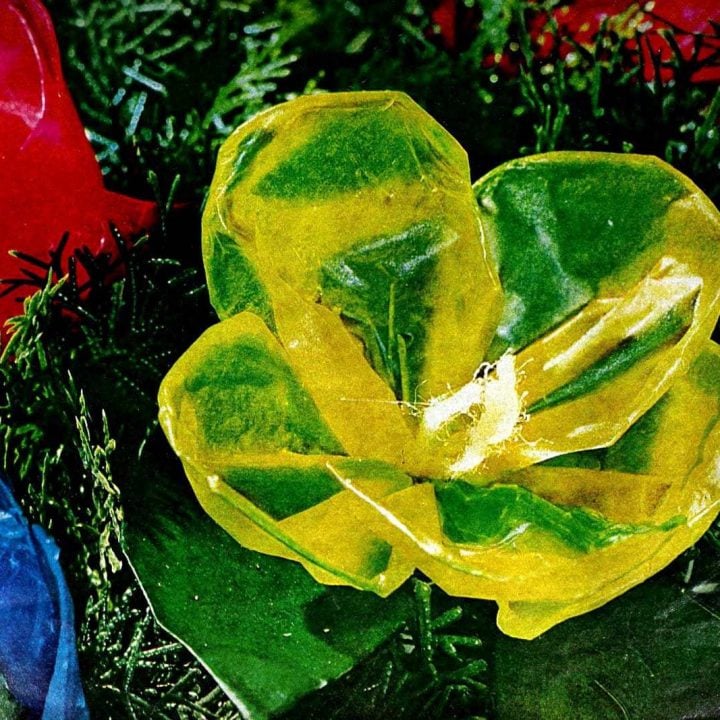 Easy wax and tissue paper flowers How to make this colorful retro craft
