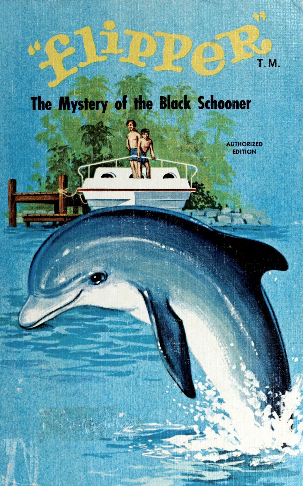 Flipper Mystery of the Black Schooner - Vintage book cover (1966) via ClickAmericana com