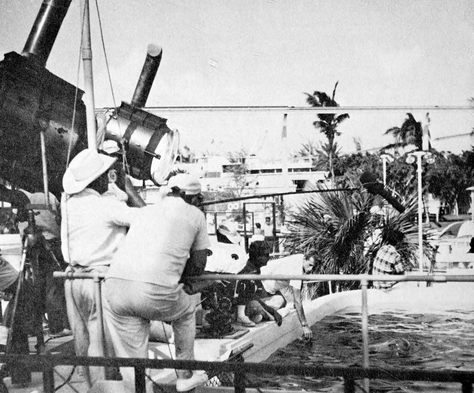 Flipper the dolphin being trained via ClickAmericana com