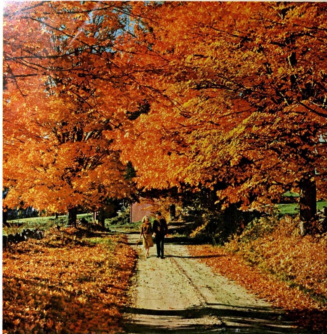 Couple walking on a path in autumn woods
