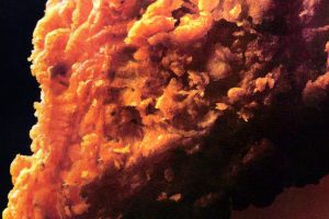 Herb batter fried chicken vintage recipe 1985