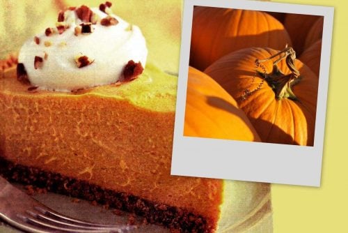 Here's a classic cheesecake-style no-bake pumpkin cream pie to try