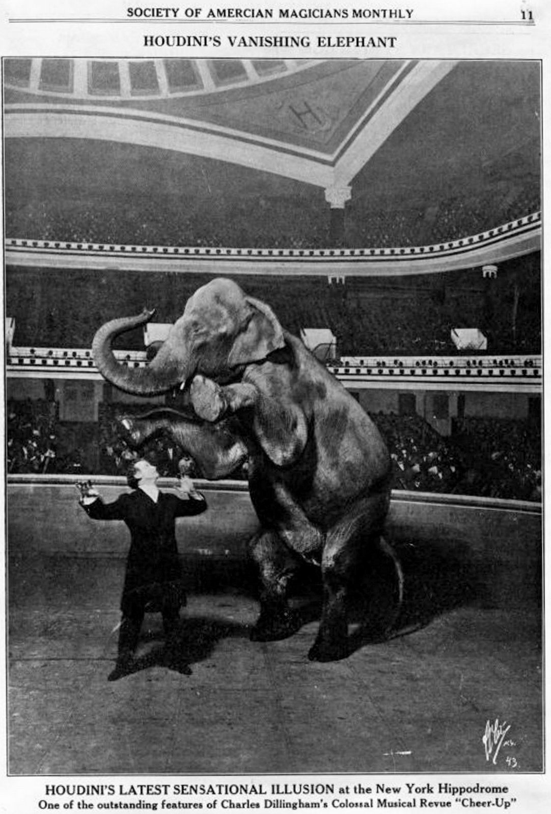 Houdini's vanishing elephant