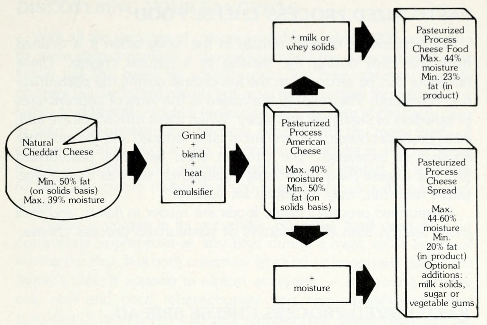 American cheese singles What's in them & the history of 'processed