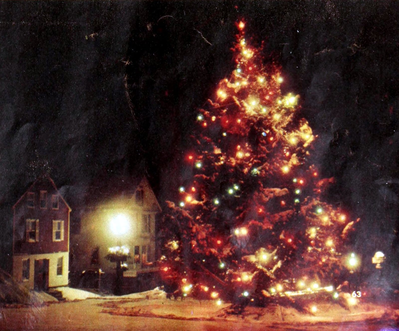 Huge vintage 1950s outdoor Christmas tree