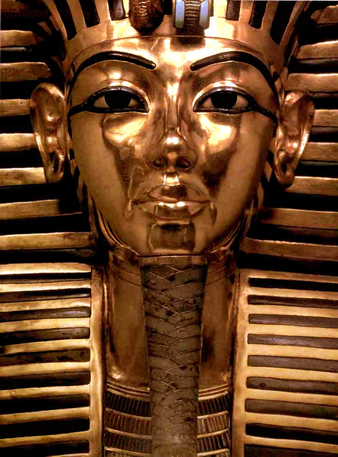 King's Tut's tomb opened (1925)