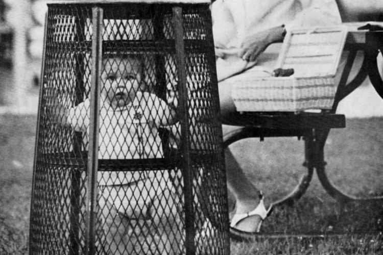 'Lady, is this your litter?' A bizarre park baby cage photo (1969