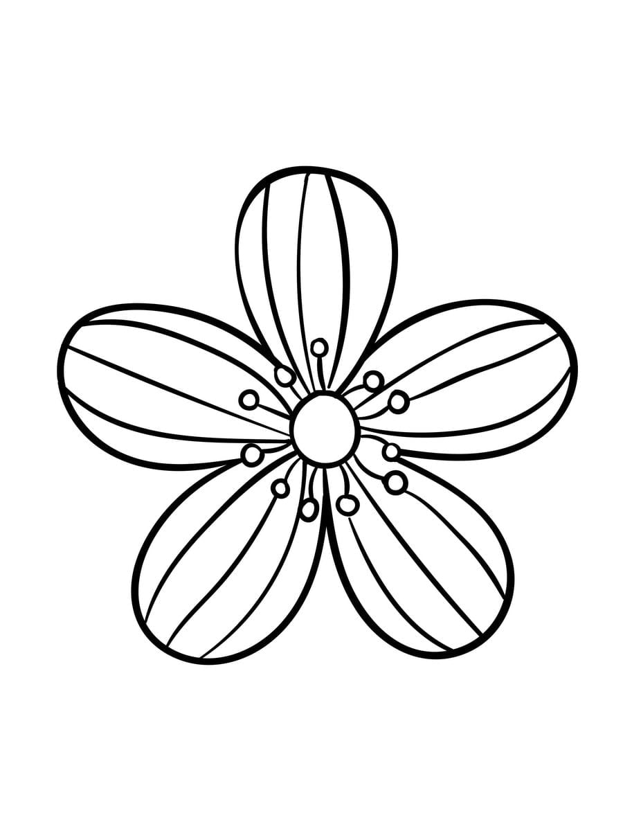 Large Print Adult Coloring Book #2: Big, Beautiful & Simple Flowers ...