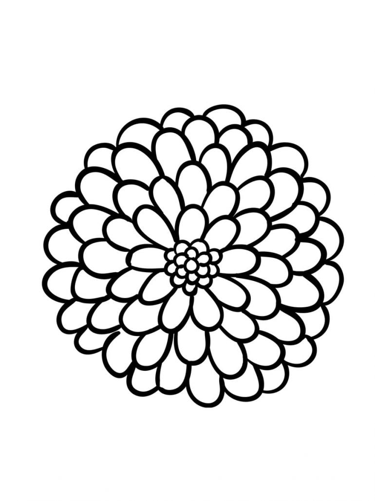 Large Print Adult Coloring Book #2: Big, Beautiful & Simple Flowers ...