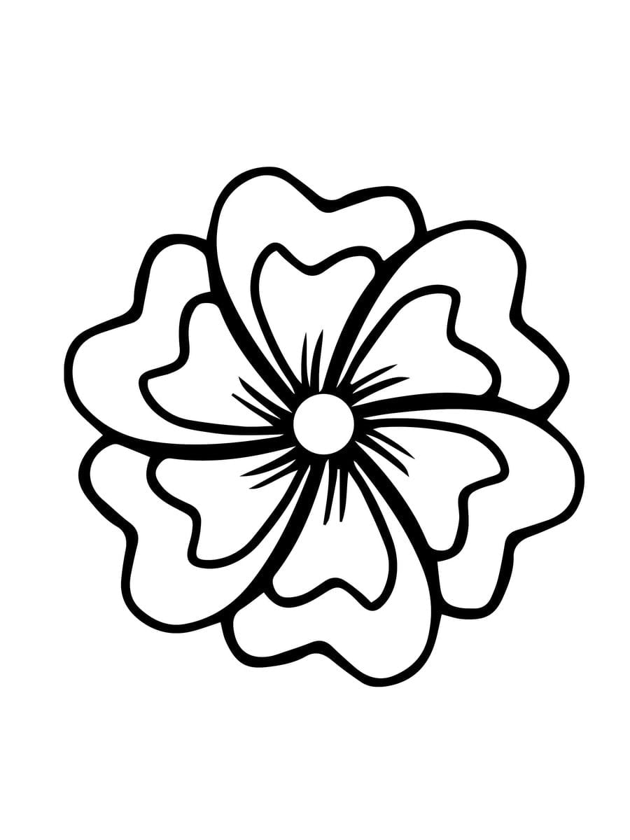 Large Print Adult Coloring Book #2: Big, Beautiful & Simple Flowers ...