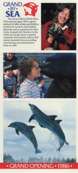San Jose History | MARINE WORLD/AFRICA U.S.A with