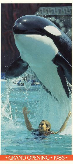 Marine World Africa USA: See the old California theme park that had ...
