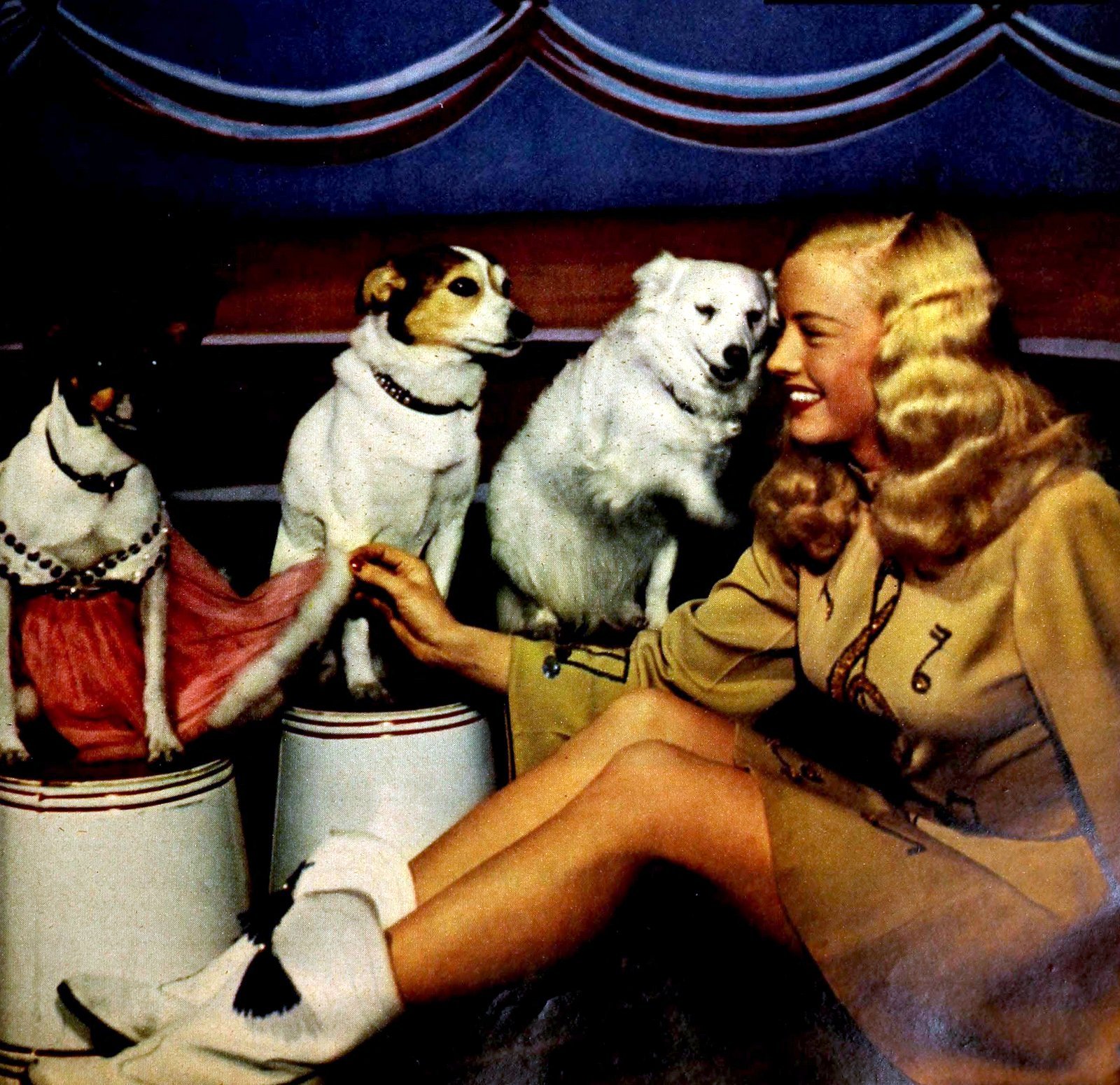 What were the most popular dog names from the 1950s through the 70s? Find out! 8 Model actress Mary Hartline with circus dogs (1950) via ClickAmericana com