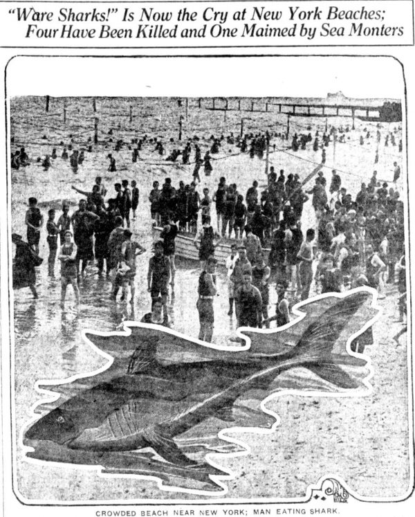 Maneating shark attacks on the New Jersey shore made headlines