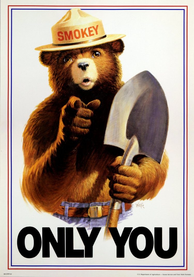 Smokey The Bear T-Shirt – Only You Can Prevent Wildfires – Army Green, Size Large