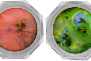 Orange and green vintage Space Fidgit - Fidget toys