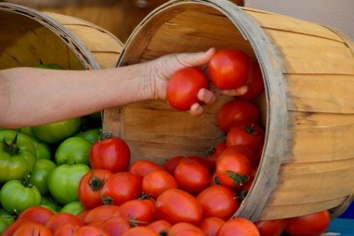 Organic food