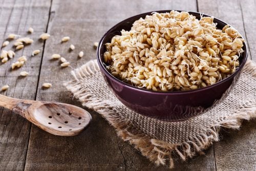 Organic food and sprouted grains via ClickAmericana com