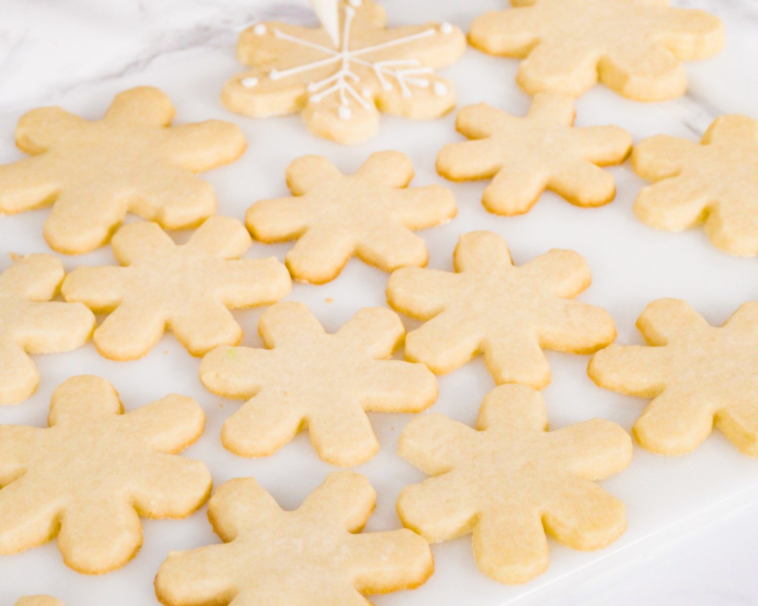 The best classic rolled sugar cookie cutouts recipe Click Americana