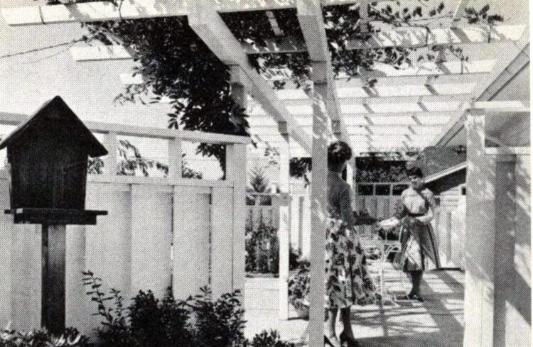 Pretty wooden trellis and fence for a backyard from 1960
