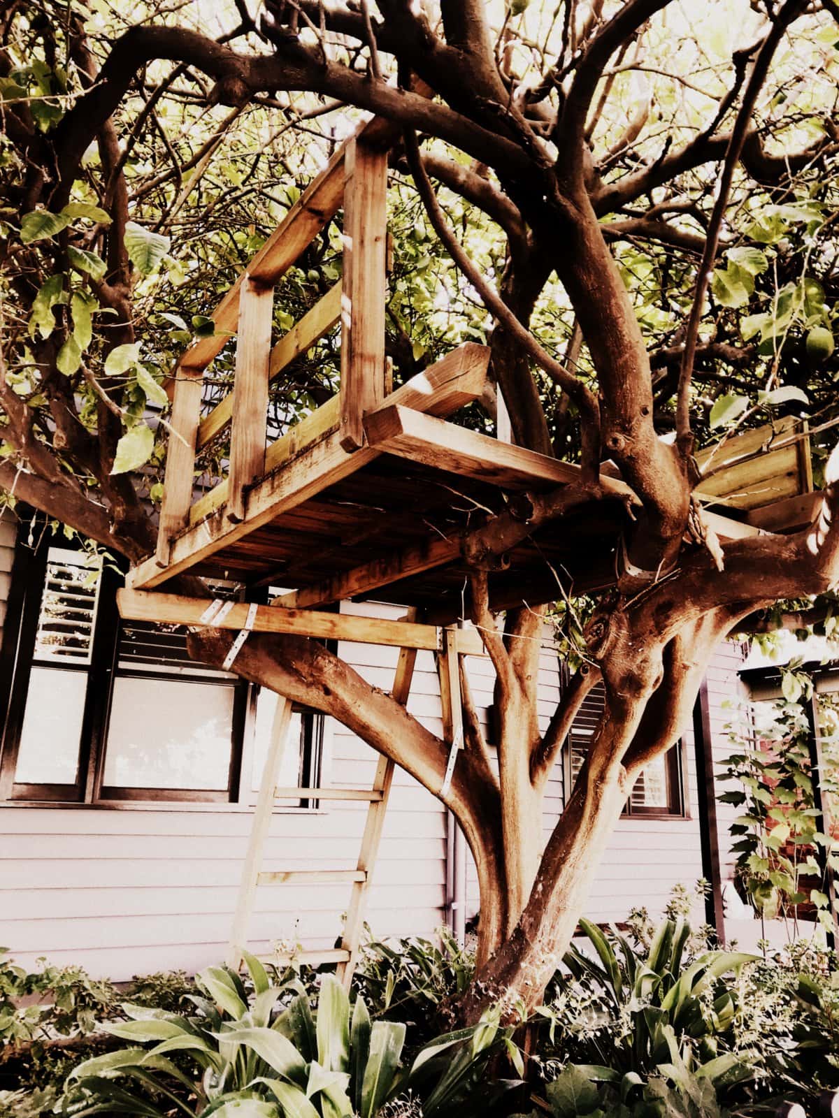 Oldfashioned treehouses See 20 fun forts built up in the branches