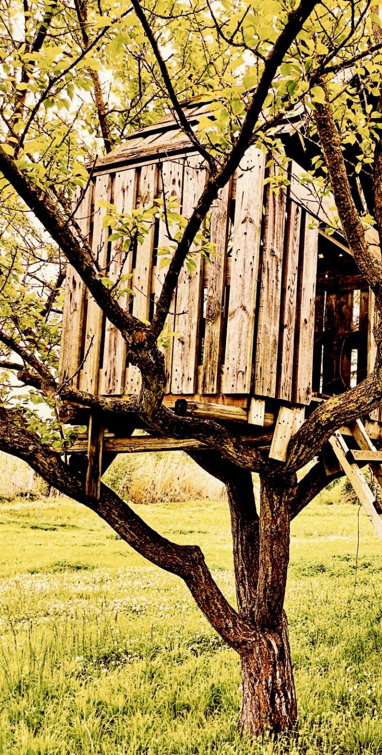 Oldfashioned treehouses See 20 fun forts built up in the branches