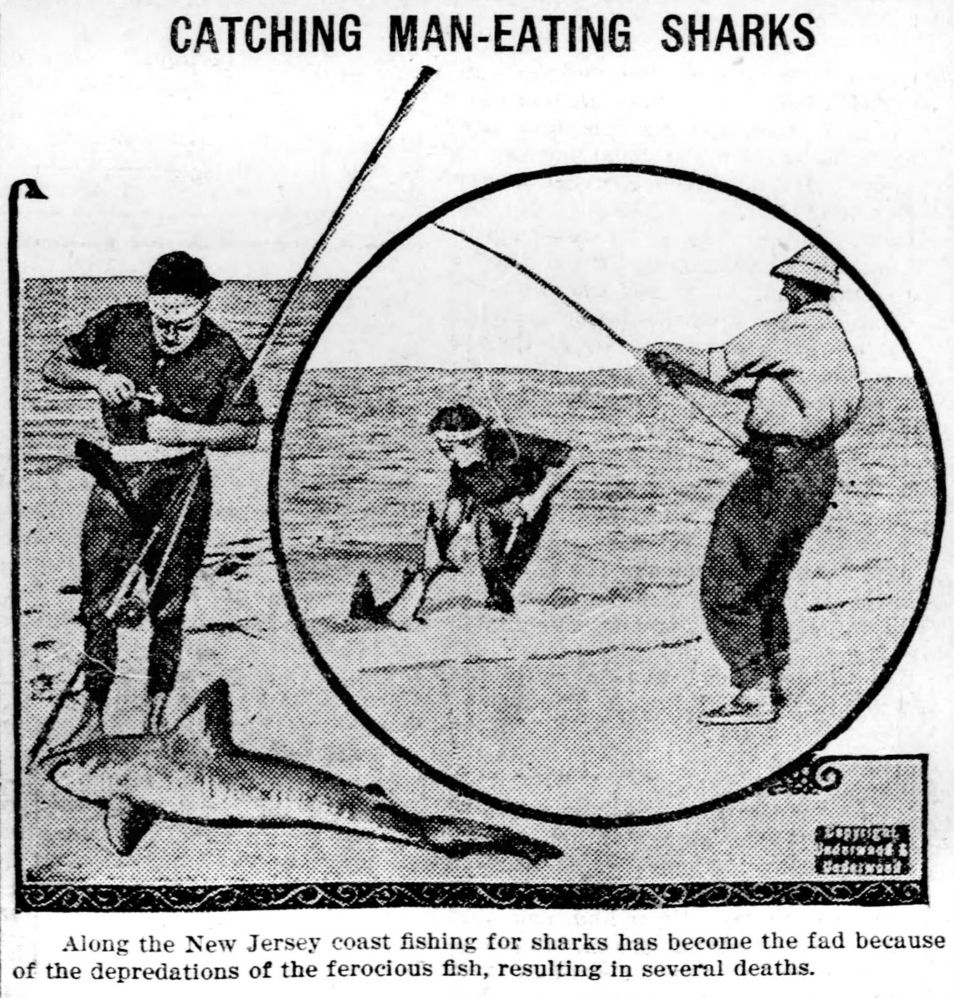 Maneating shark attacks on the New Jersey shore made headlines
