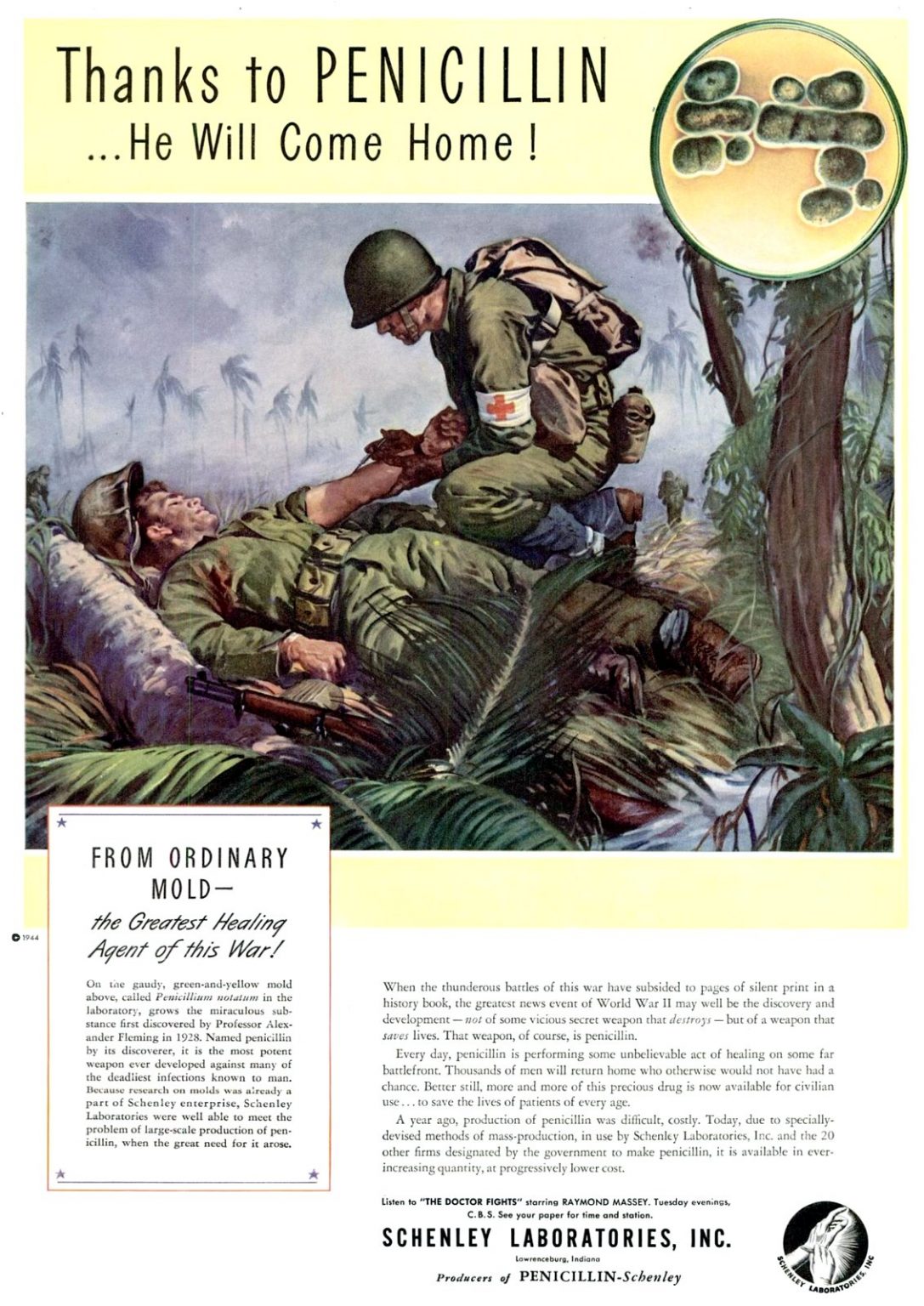 How penicillin was discovered and how wwii let this miracle drug reach