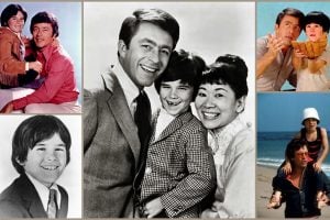 The Courtship of Eddie's Father TV show