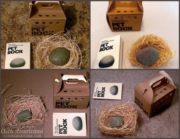 The Hottest Novelty Item Of 1975 Pet Rock Click Americana
