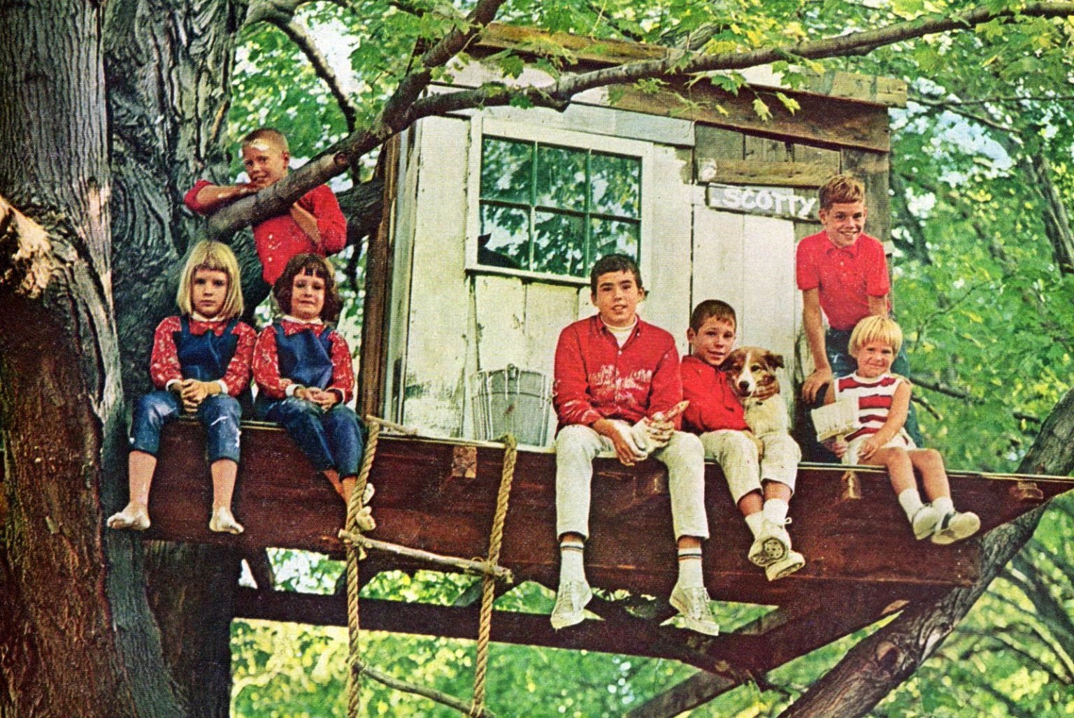 Oldfashioned treehouses See 20 fun forts built up in the branches Click Americana