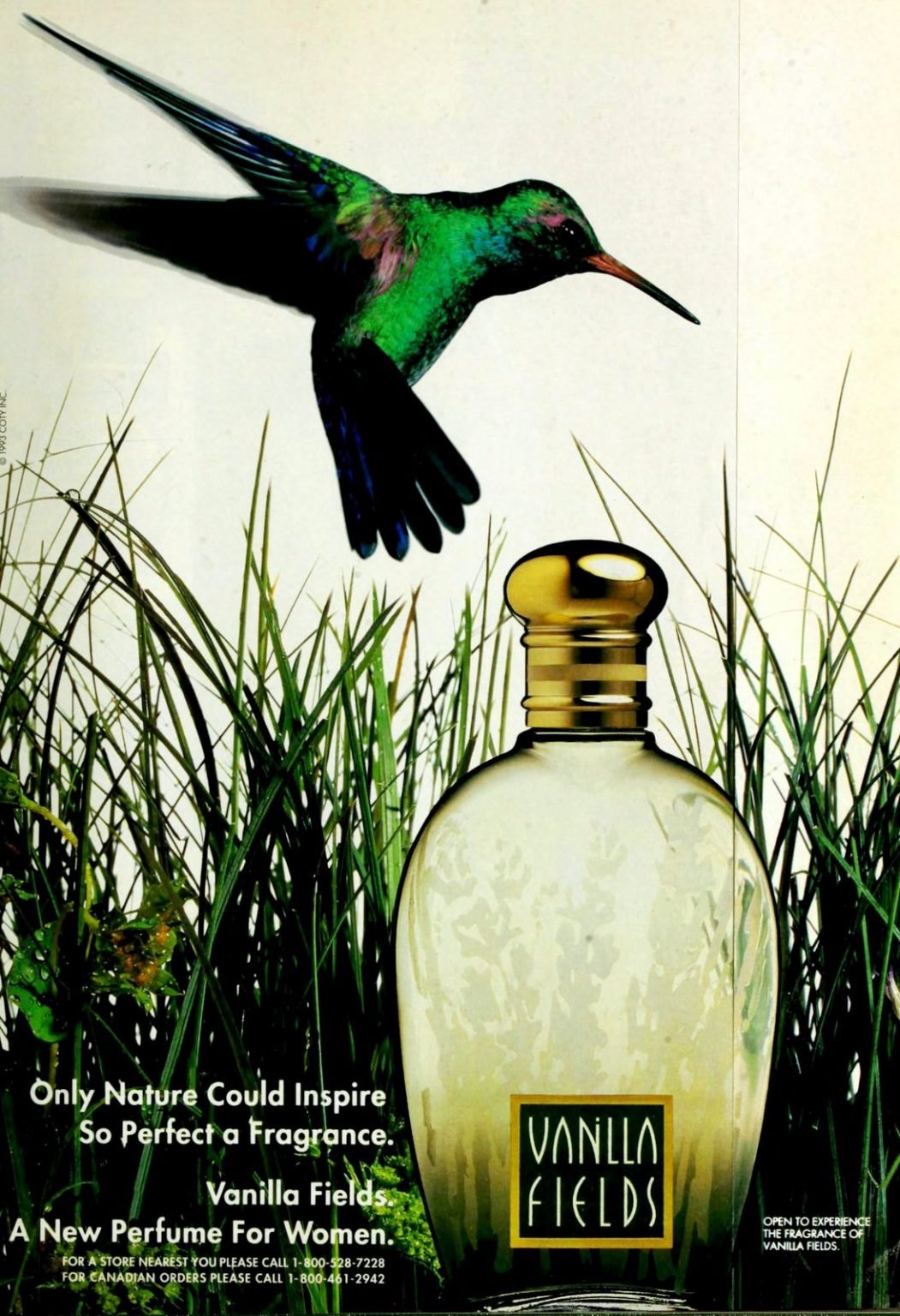 Remember these 115 popular vintage perfumes from the '90s? Click