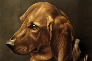 Victorian dog portrait and about the vaccine for rabies (1885)