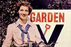 Victory gardens How they planted them and what they grew during WWII