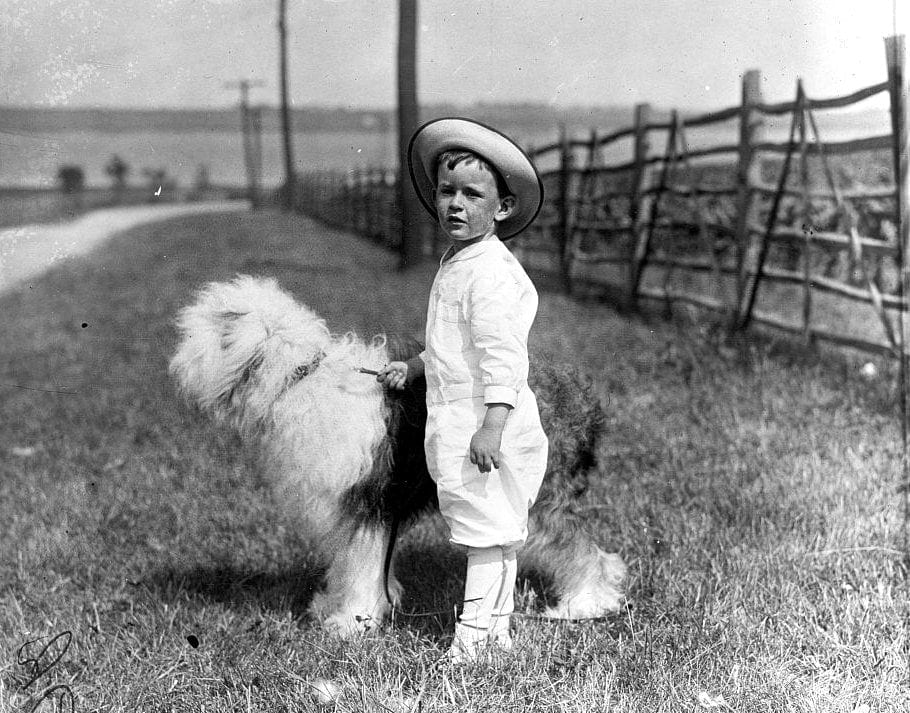 Vincent McLean, full-length portrait, standing, facing left, with dog 1914
