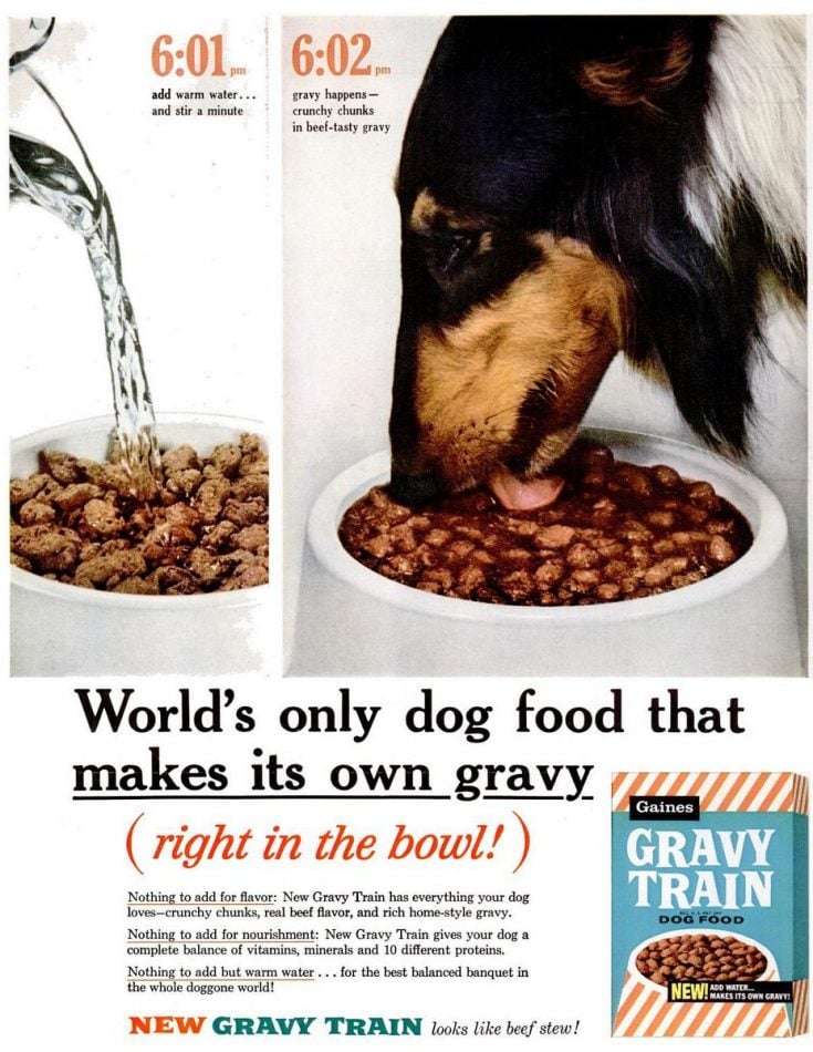 Vintage dog food 40 old ads let you see what's changed (and hasn't) over the years Click