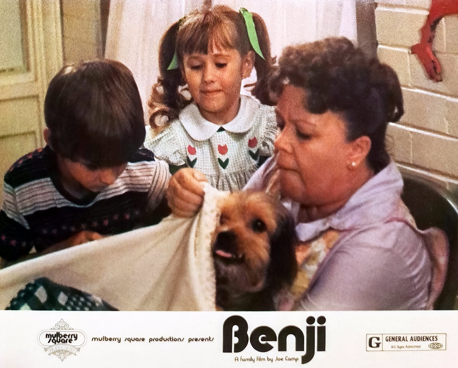 Benji movie magic: How a stray dog stole America's heart in the 1970s 3 Vintage Benji movie scene 1970s lobby card (2) via ClickAmericana com