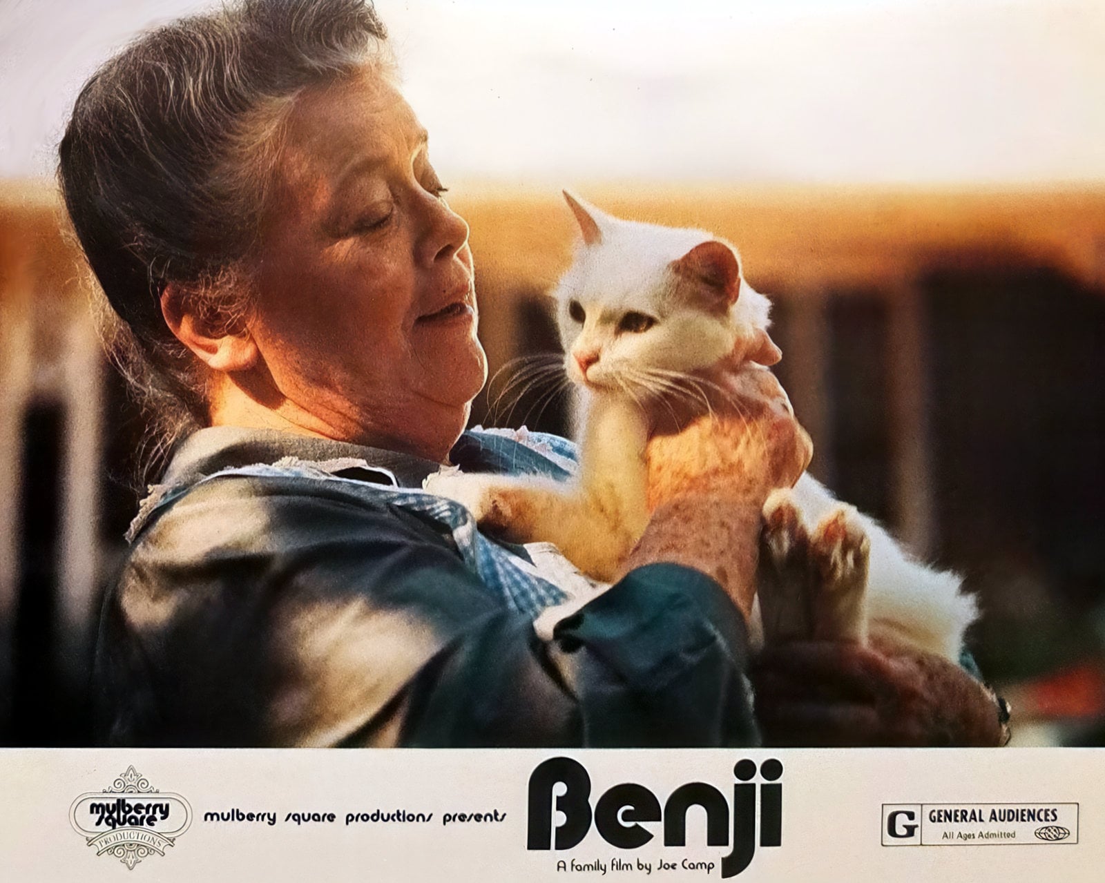 Benji movie magic: How a stray dog stole America's heart in the 1970s 7 Vintage Benji movie scene 1970s lobby card (3) via ClickAmericana com