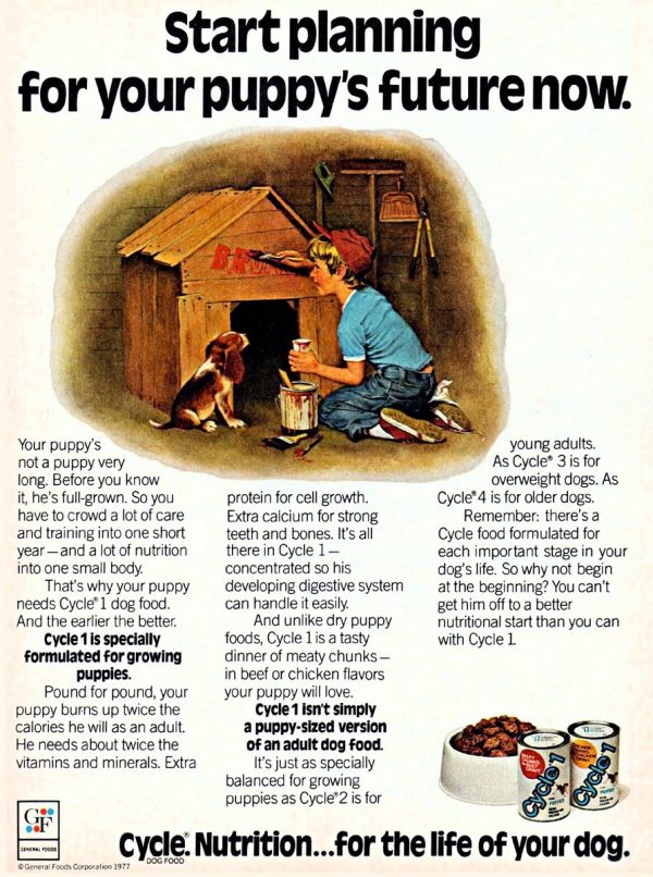 Vintage dog food 40 old ads let you see what's changed (and hasn't
