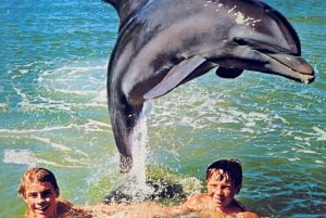 Vintage Flipper TV show