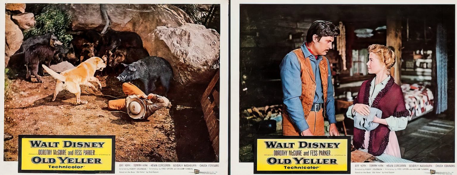 Disney's Old Yeller The classic movie about the best doggone dog in