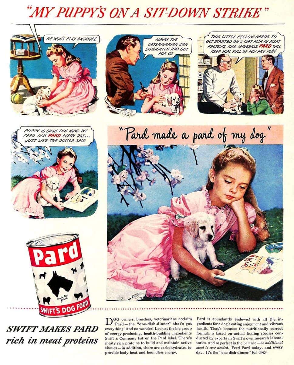 Vintage dog food 40 old ads let you see what's changed (and hasn't