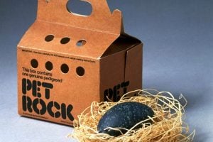 Vintage Pet Rock novelty toy