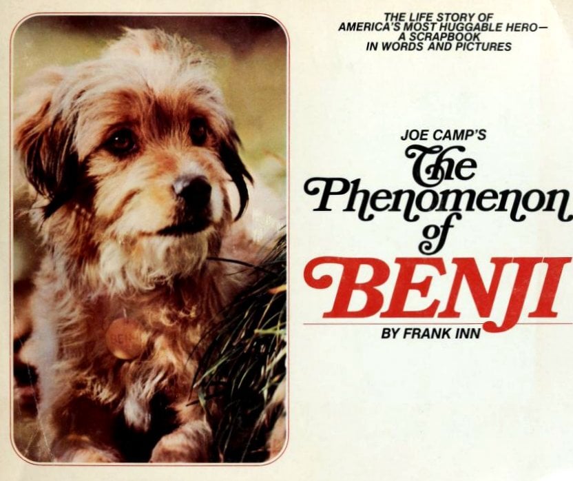 Benji movie magic: How a stray dog stole America's heart in the 1970s 2 Vintage Phenomenon of Benji scrapbook cover via ClickAmericana com