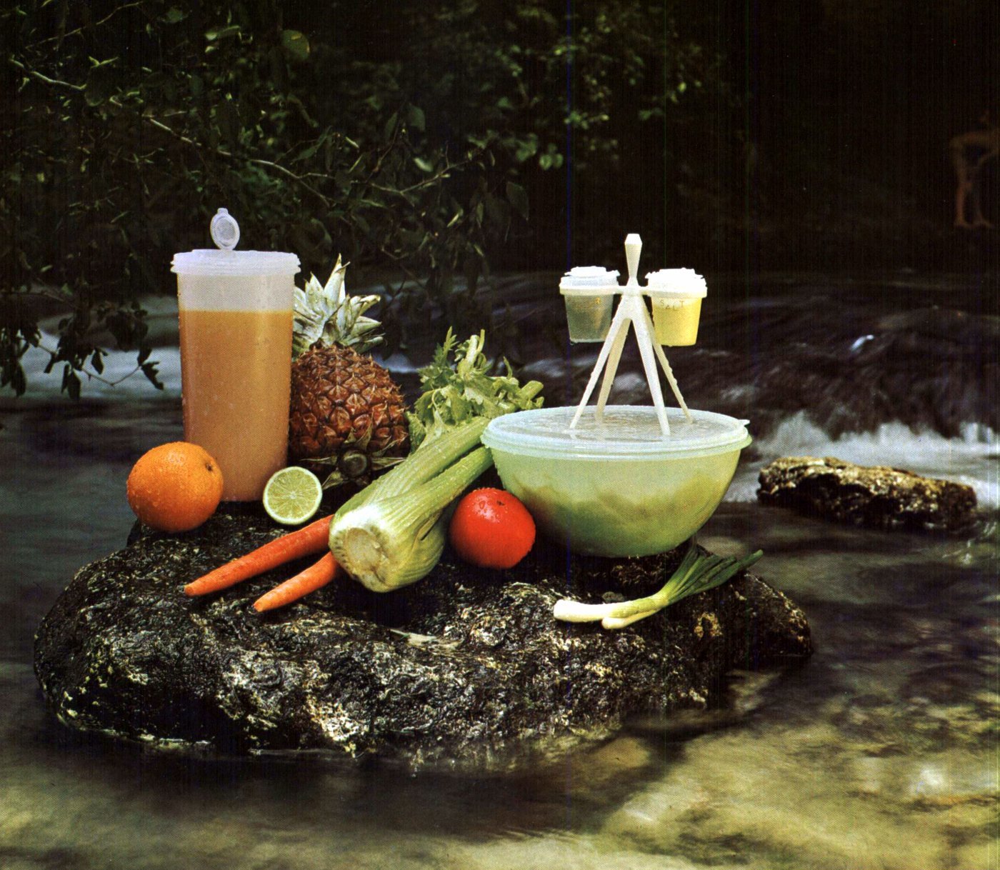 Vintage Tupperware See 100+ retro plastic container styles, from the