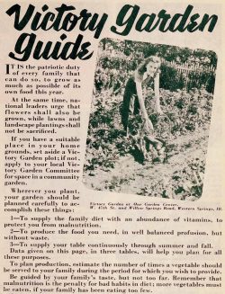 WWII Victory gardens from the 1940s: How people planted them, and how ...