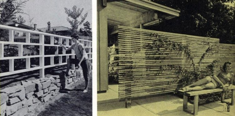 Vintage backyard fence ideas from 1960